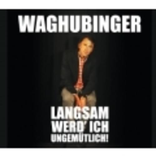 Stefan Waghubinger - Langsam werd ich ungemütlich